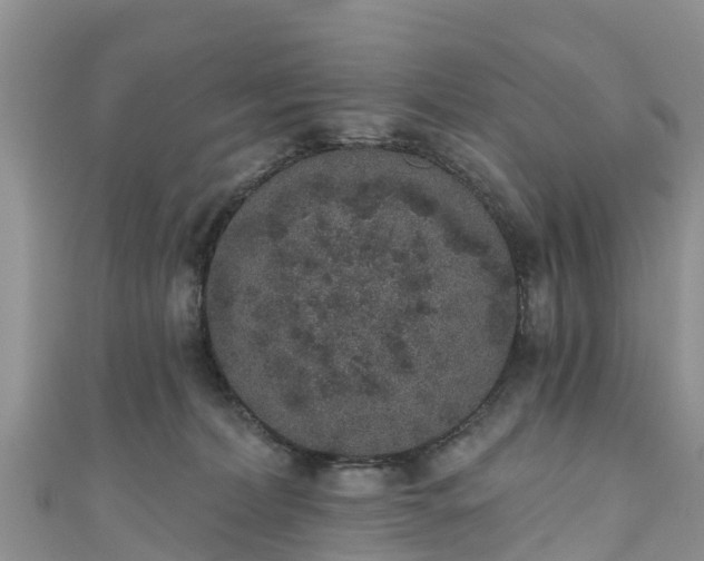 X0000110960228200906261348