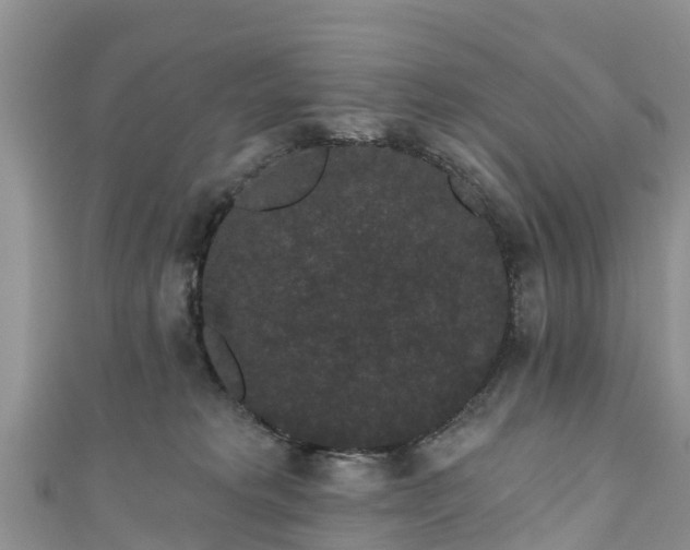 X0000110960229200906261348