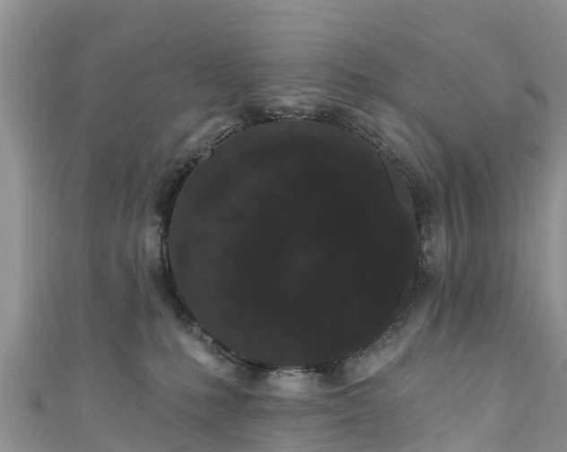 X0000110960231200906261348