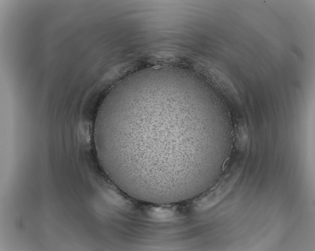 X0000110960232200906261348