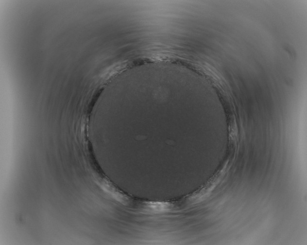 X0000110960233200906261348