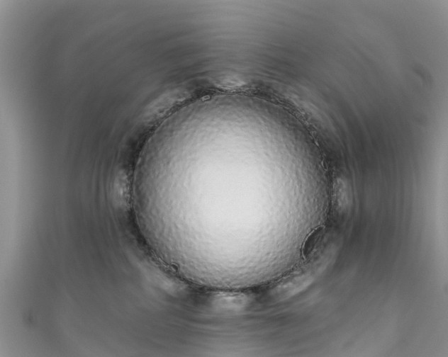 X0000110960234200906261348