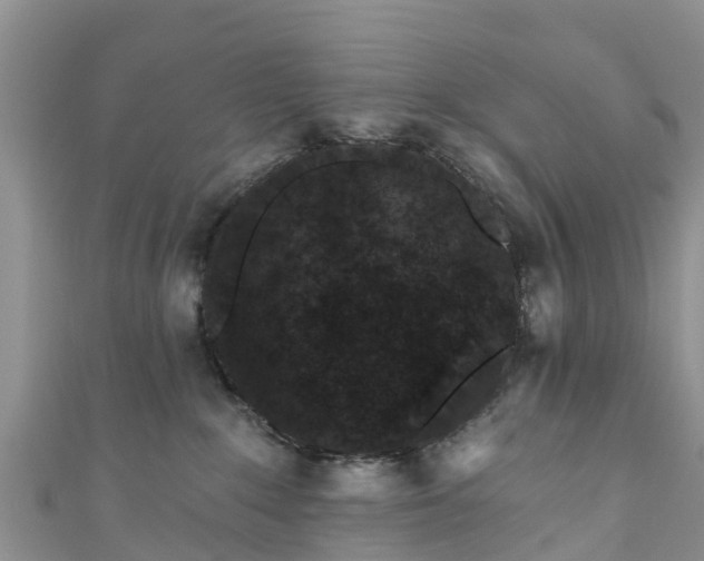 X0000110960235200906261348