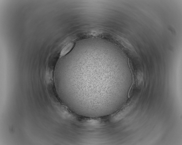 X0000110960236200906261348