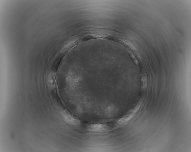 X0000110960237200906261348