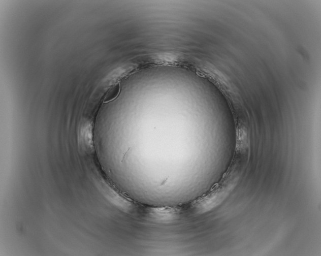 X0000110960238200906261348