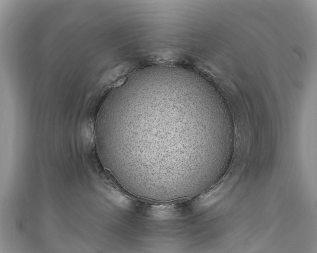 X0000110960240200906261348