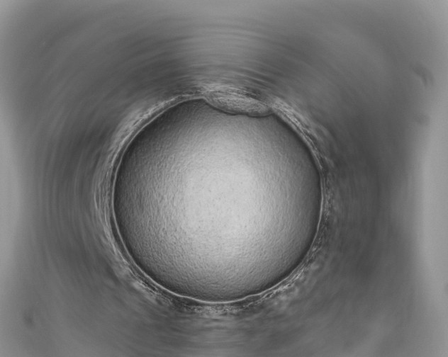 X0000110960241200906261347