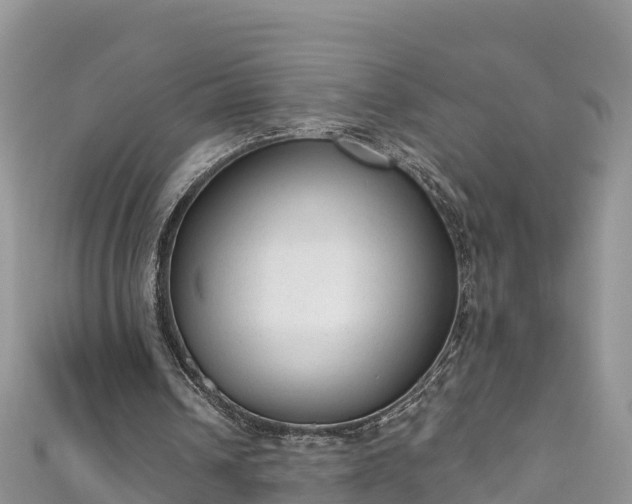 X0000110960242200906261347