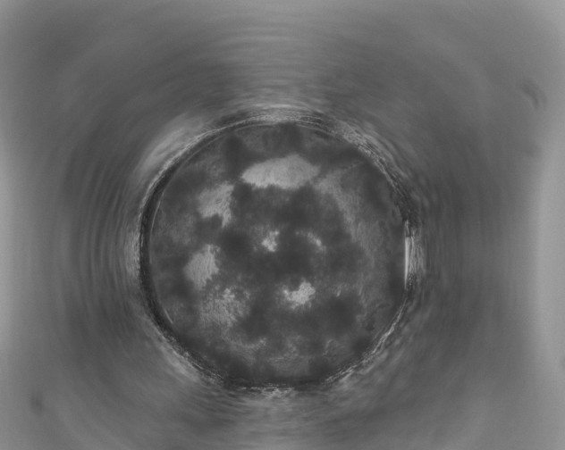 X0000110960243200906261347