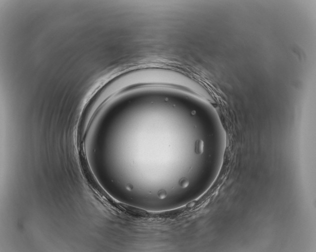 X0000110960244200906261347