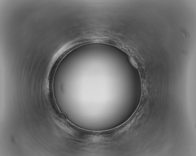 X0000110960246200906261347