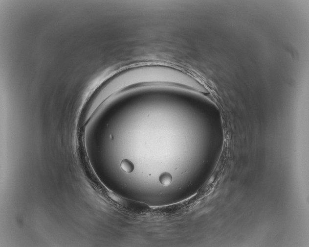 X0000110960248200906261347