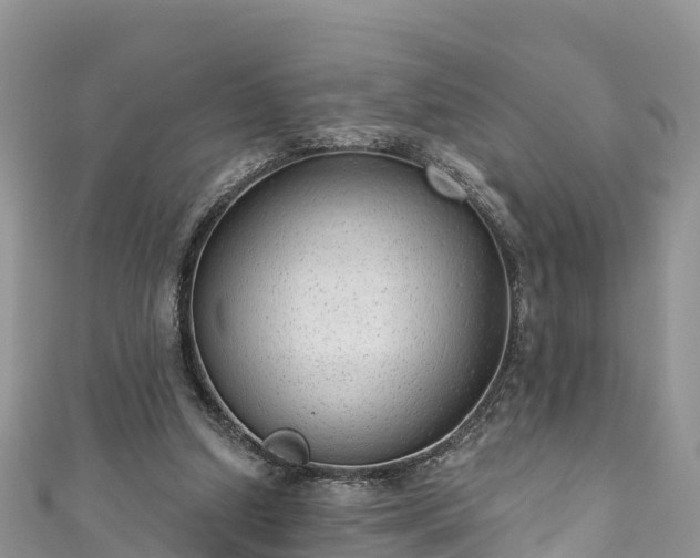 X0000110960250200906261347