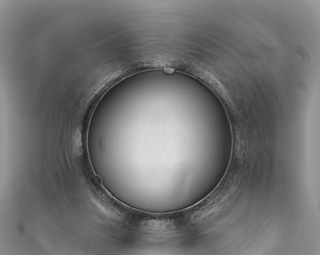 X0000110960251200906261347