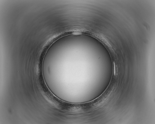 X0000110960252200906261347