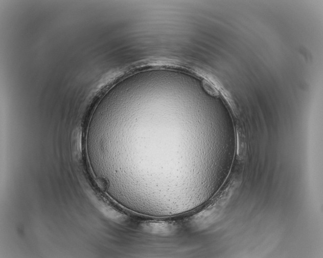 X0000110960253200906261347