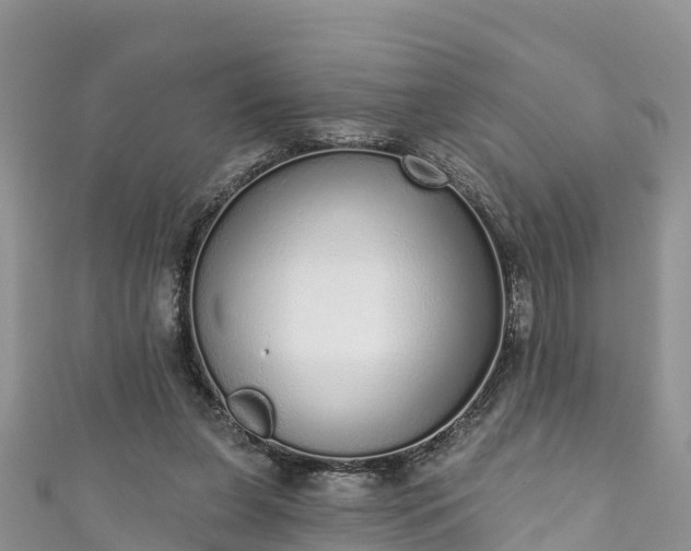 X0000110960255200906261347