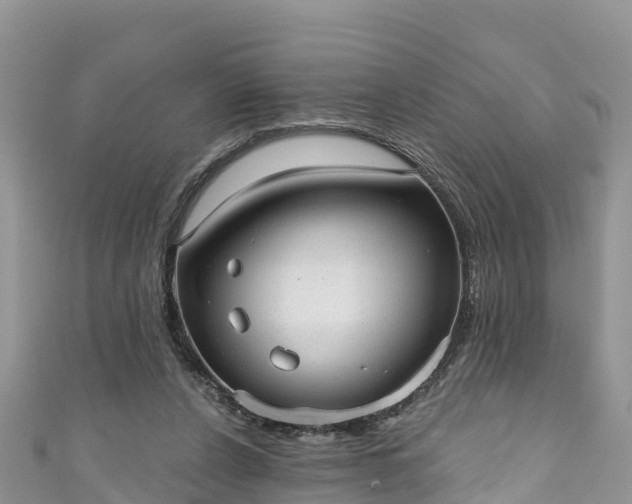 X0000110960256200906261347