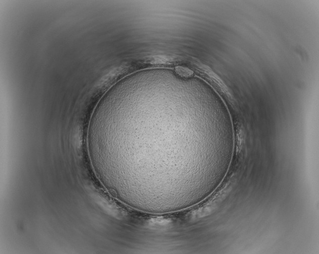 X0000110960257200906261347