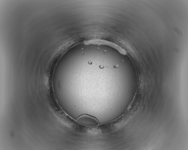 X0000110960258200906261347