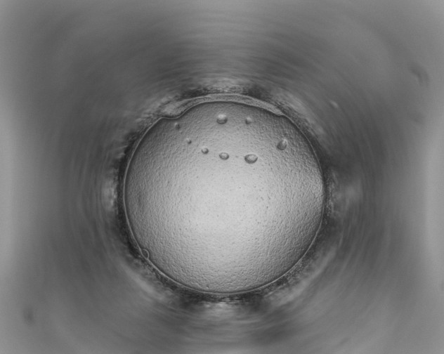 X0000110960259200906261348