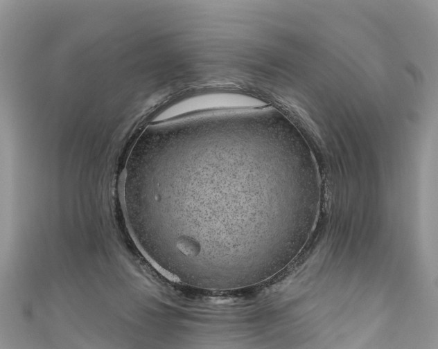 X0000110960260200906261348