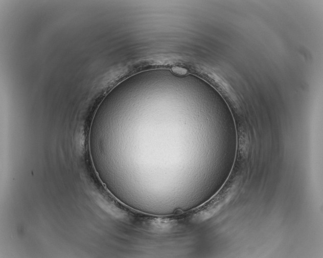 X0000110960261200906261348