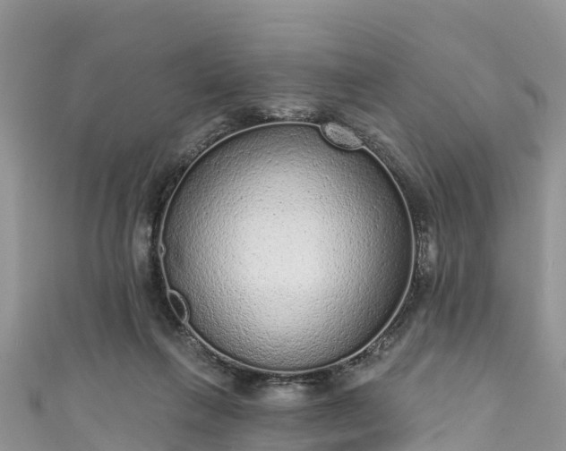 X0000110960263200906261348