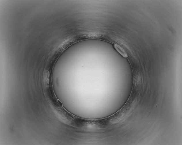 X0000110960264200906261348