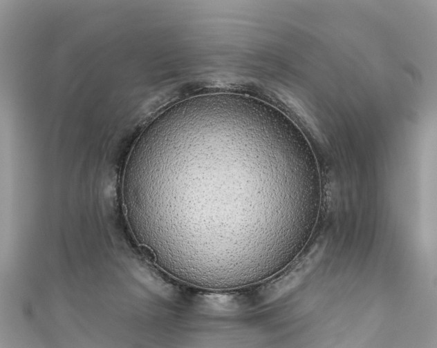 X0000110960265200906261348