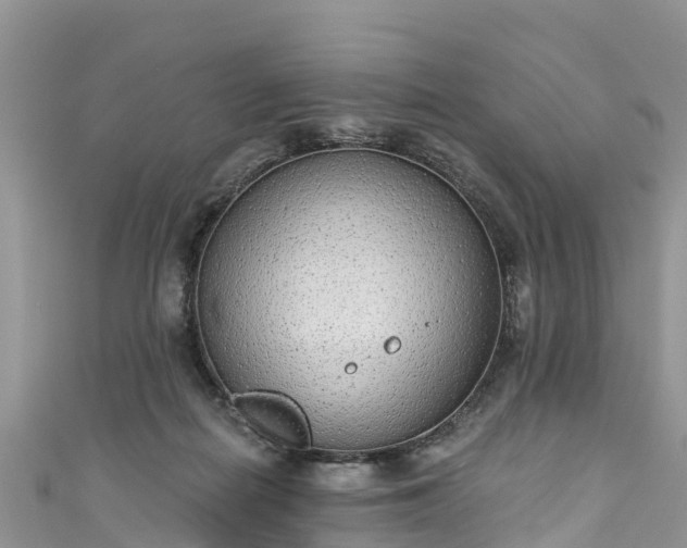 X0000110960266200906261348