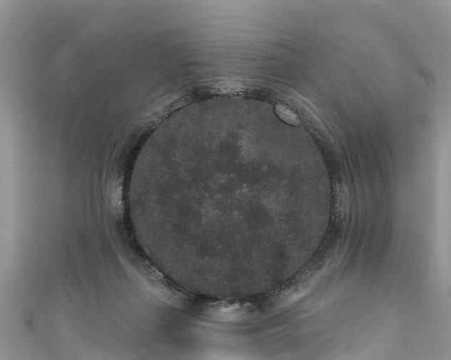 X0000110960267200906261348