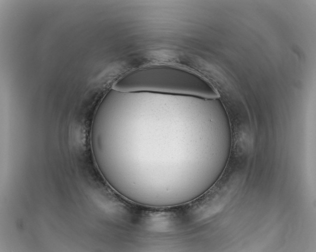 X0000110960268200906261348