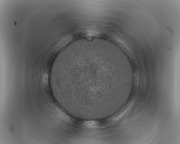 X0000110960269200906261348