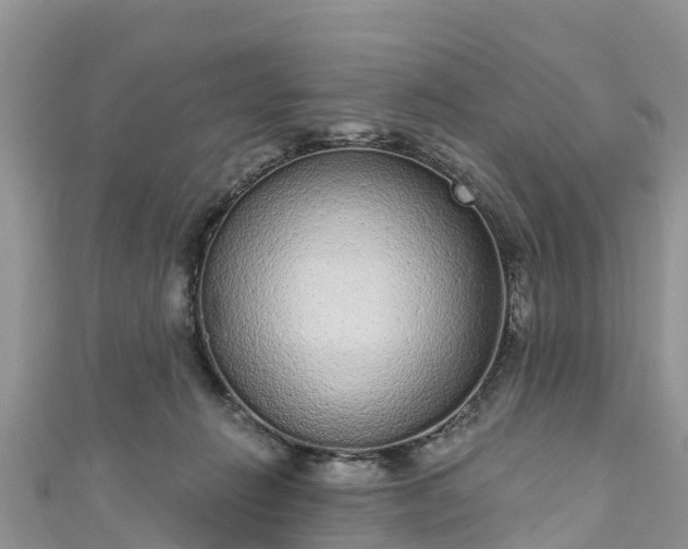 X0000110960270200906261348