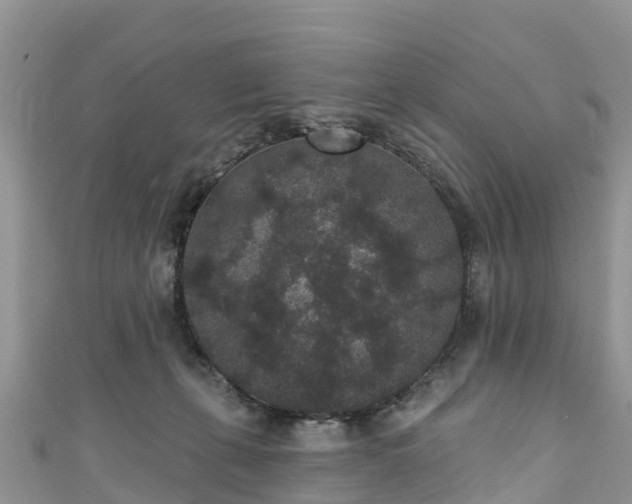 X0000110960271200906261348