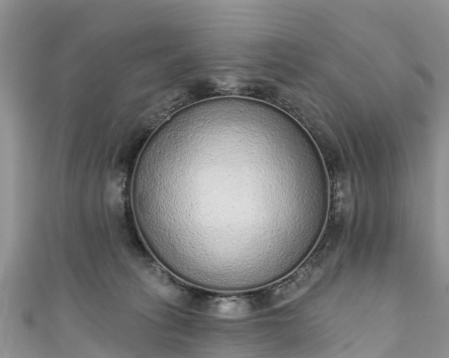 X0000110960275200906261348