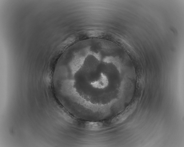 X0000110960277200906261348