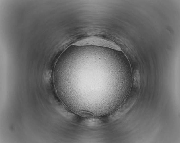 X0000110960278200906261348