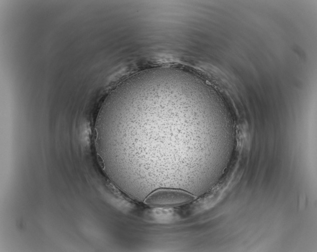 X0000110960279200906261348