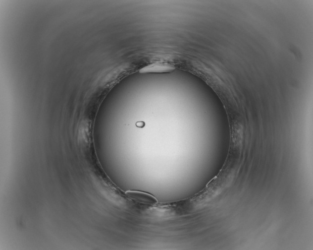 X0000110960280200906261348