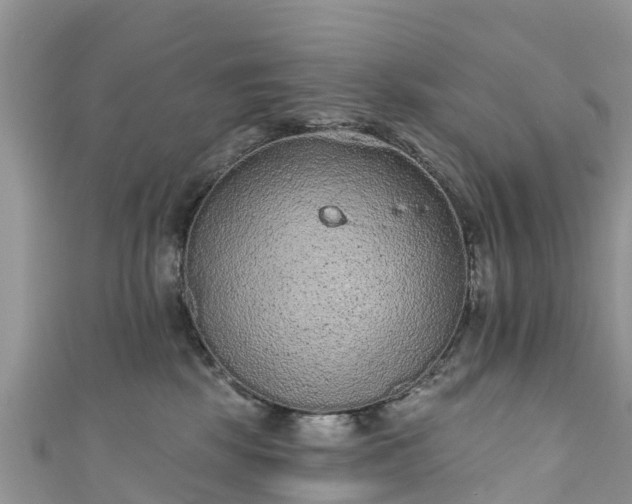 X0000110960281200906261348