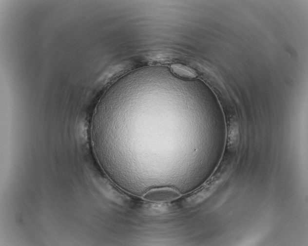 X0000110960282200906261348