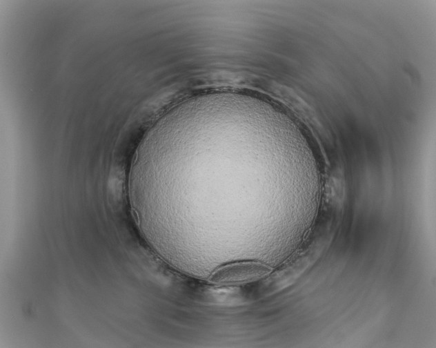 X0000110960283200906261348