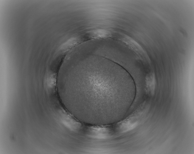 X0000110960284200906261348