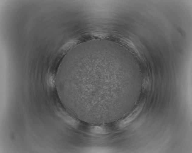 X0000110960285200906261348