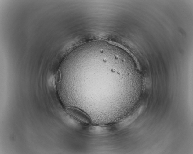 X0000110960286200906261348