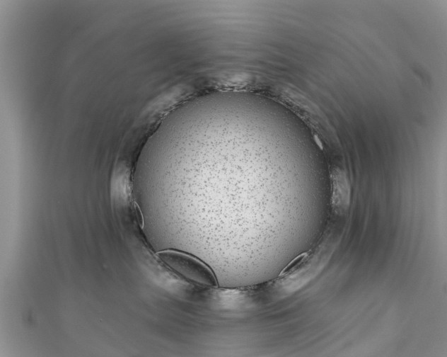 X0000110960287200906261348