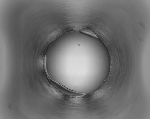 X0000110960288200906261348